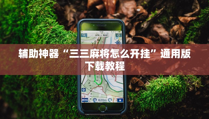 实操教程“家乡大贰开挂教程”开挂步骤方法