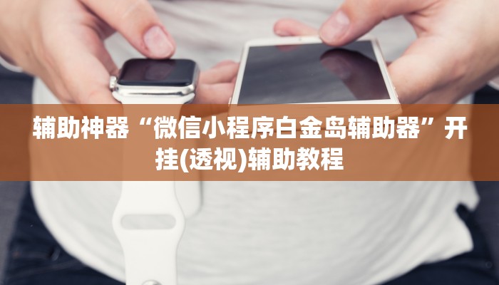 辅助神器“嘉邻游戏究竟是不是有挂”(透视)其实确实有挂