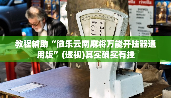 教程辅助“微乐云南麻将万能开挂器通用版”(透视)其实确实有挂