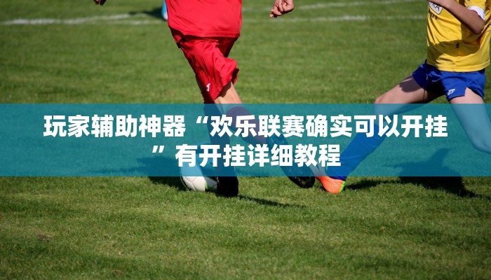 玩家辅助神器“欢乐联赛确实可以开挂”有开挂详细教程