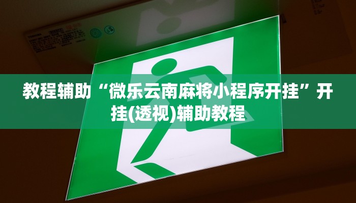 教程辅助“新西部大厅有透视挂”通用版下载教程