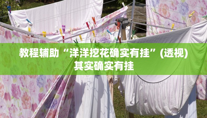 实操教程“欢乐贰柒拾开挂器”开挂步骤方法