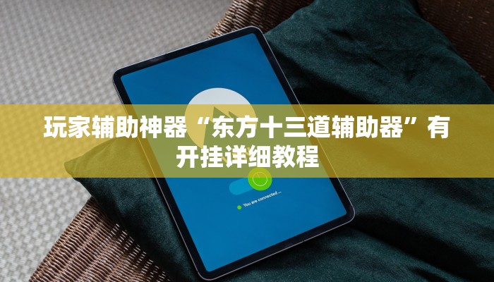 分享教程“广西佬游玩十三张辅助器”有开挂详细教程