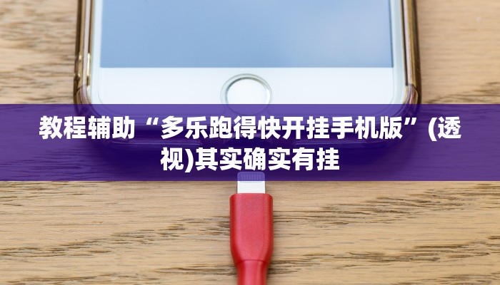 玩家辅助神器“白金岛跑胡子开挂辅助教程”有开挂详细教程