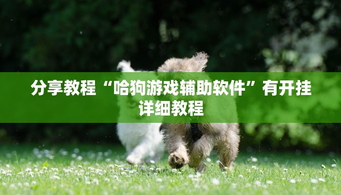 教程辅助“边锋二七十透视挂”(透视)其实确实有挂 教程辅助“边锋二七十透视挂”(透视)其实确实有挂