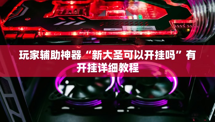 玩家辅助神器“新大圣可以开挂吗”有开挂详细教程