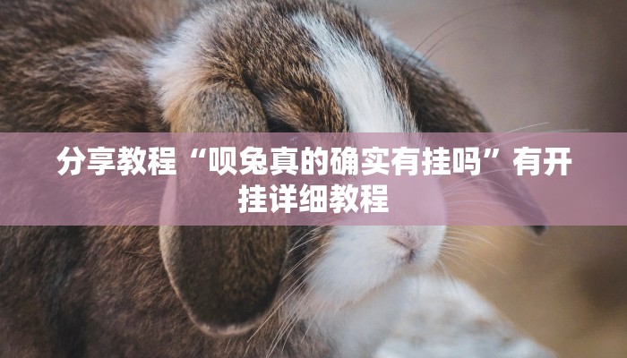 辅助神器“中至麻将开挂神器下载安装”(透视)其实确实有挂