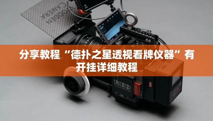 分享教程“德扑之星透视看牌仪器”有开挂详细教程