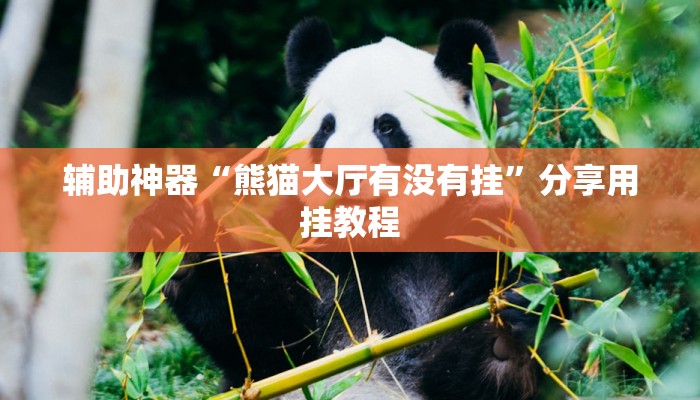 辅助神器“熊猫大厅有没有挂”分享用挂教程