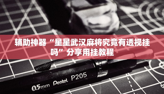 辅助神器“功夫川麻小程序万能开挂器”开挂(透视)辅助教程 辅助神器“功夫川麻小程序万能开挂器”开挂(透视)辅助教程