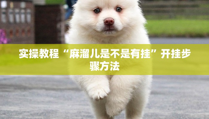 实操教程“麻溜儿是不是有挂”开挂步骤方法