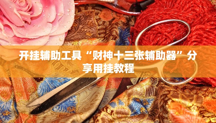 开挂辅助工具“财神十三张辅助器”分享用挂教程