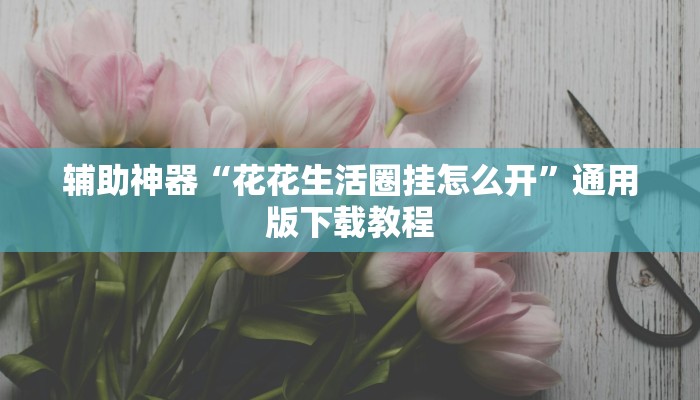 辅助神器“花花生活圈挂怎么开”通用版下载教程