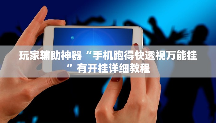 辅助神器“福建十三水万能辅助器”其实确实有挂