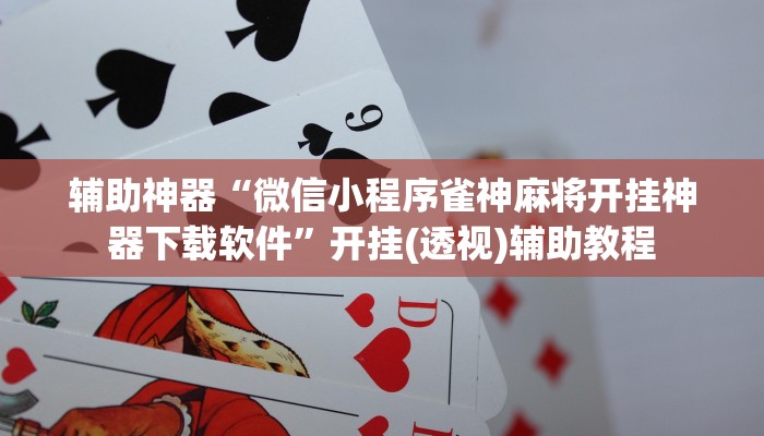 辅助神器“微乐填大坑开挂辅助器”分享用挂教程