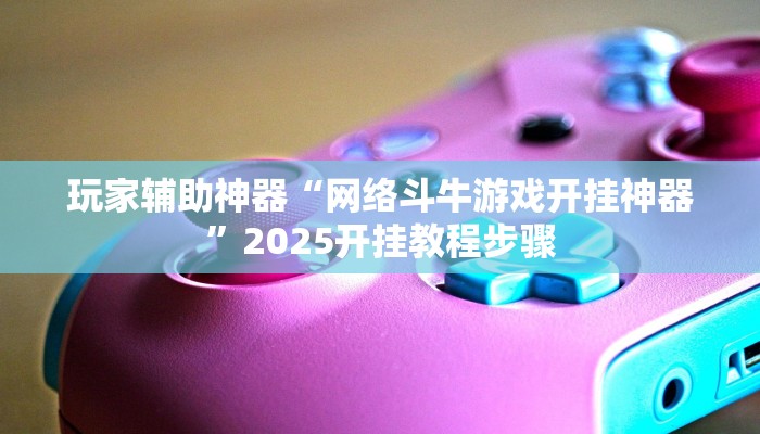 玩家辅助神器“网络斗牛游戏开挂神器”2025开挂教程步骤