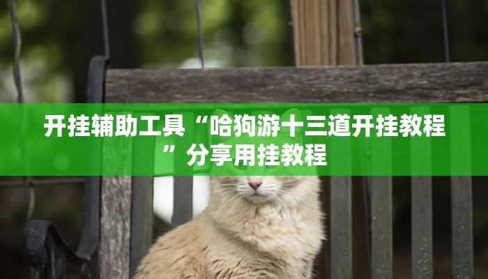 教程辅助“天府棋牌可以开挂吗”其实确实有挂