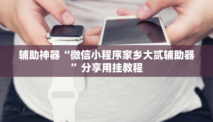 辅助神器“微信小程序家乡大贰辅助器”分享用挂教程