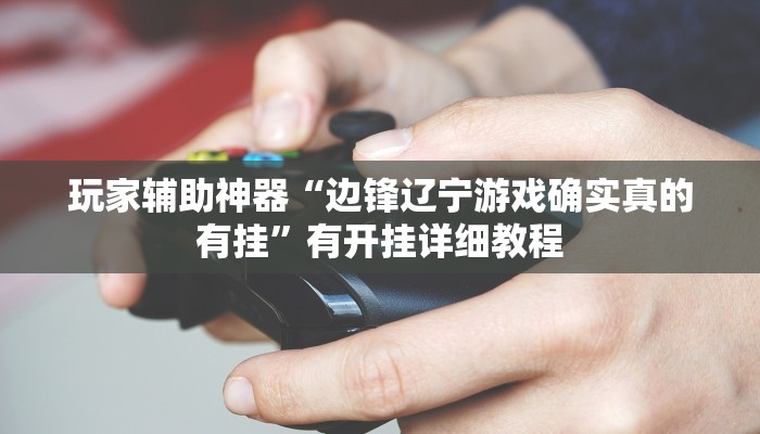 玩家辅助神器“边锋辽宁游戏确实真的有挂”有开挂详细教程