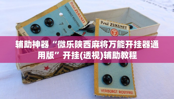 玩家辅助神器“战皇大厅能装透视挂吗”2025开挂教程步骤
