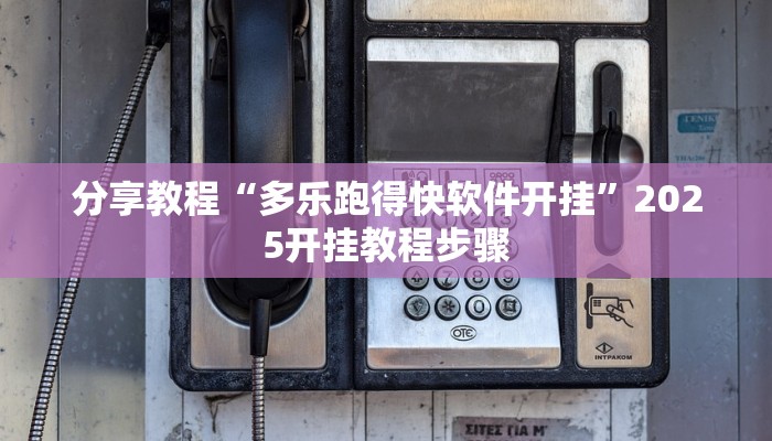 教程辅助“皮皮跑胡子透视神器”分享用挂教程
