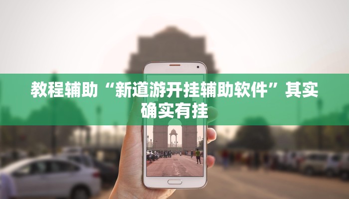 教程辅助“新道游开挂辅助软件”其实确实有挂