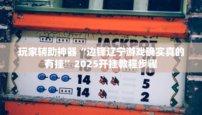 玩家辅助神器“边锋辽宁游戏确实真的有挂”2025开挂教程步骤