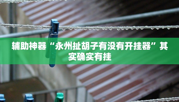 玩家辅助神器“九尾大厅真的有挂吗”2025开挂教程步骤