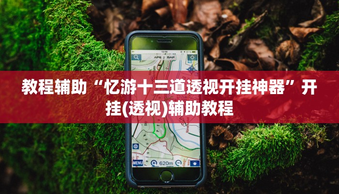 教程辅助“忆游十三道透视开挂神器”开挂(透视)辅助教程