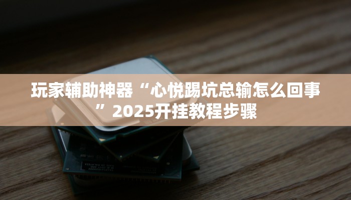 玩家辅助神器“wepoker辅助透视挂”有开挂详细教程