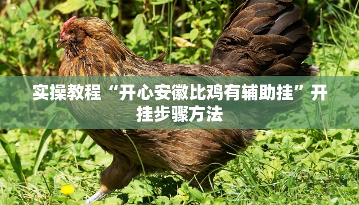 教程辅助“相约福建麻将十三水怎么开挂”(透视)其实确实有挂