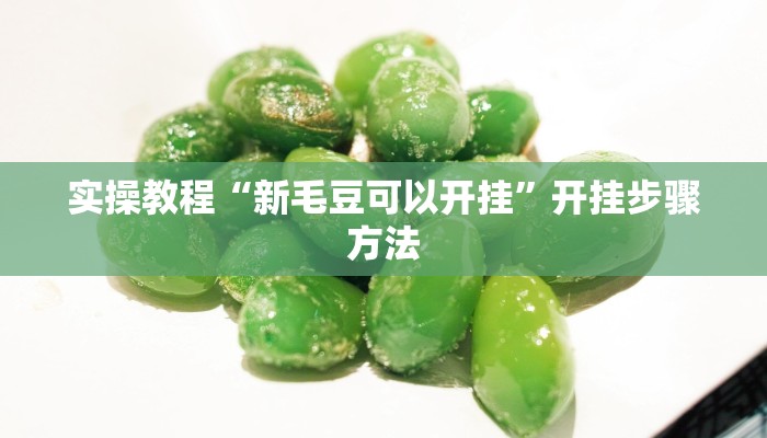 实操教程“孔雀互娱辅助插件”开挂步骤方法