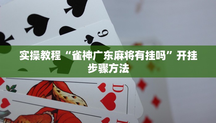 教程辅助“琼州雀友有挂吗”通用版下载教程