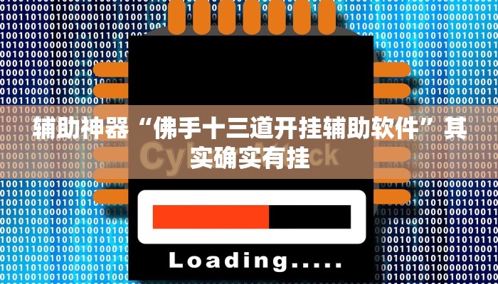 辅助神器“佛手十三道开挂辅助软件”其实确实有挂