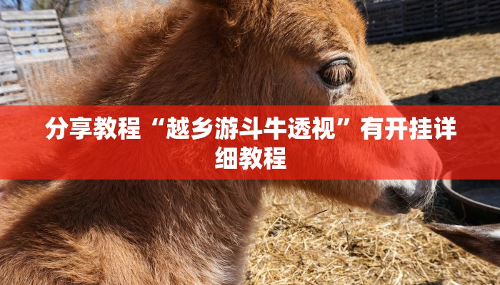 辅助神器“多乐跑得快免费开挂神器”开挂(透视)辅助教程