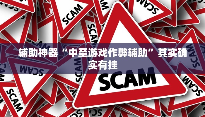 辅助神器“中至游戏作弊辅助”其实确实有挂