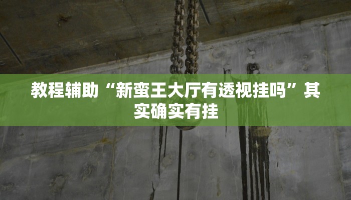 辅助神器“微乐干瞪眼小程序辅助器”其实确实有挂 辅助神器“微乐干瞪眼小程序辅助器”其实确实有挂