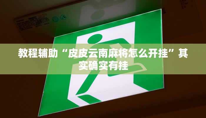 辅助神器“微乐捉老麻子开挂神器”分享用挂教程