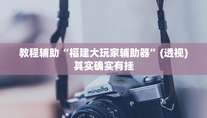 玩家辅助神器“大头十三水开挂辅助器”2025开挂教程步骤