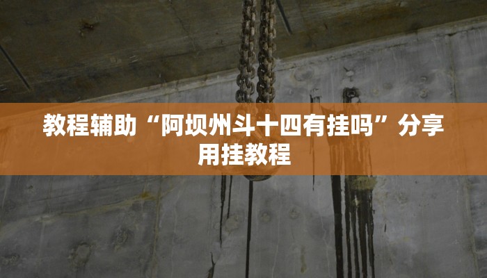 教程辅助“阿坝州斗十四有挂吗”分享用挂教程