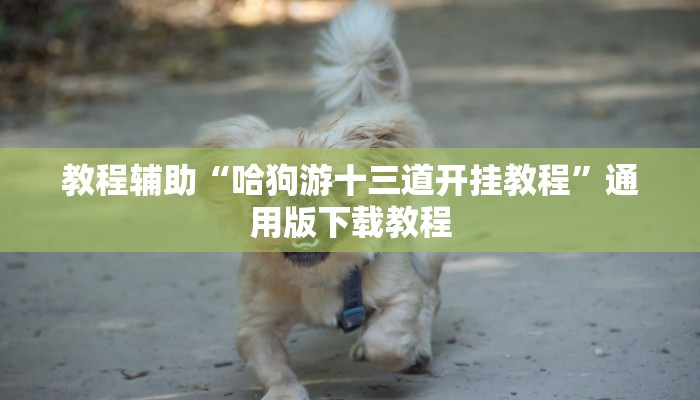 分享教程“人人互娱开挂神器下载”2025开挂教程步骤