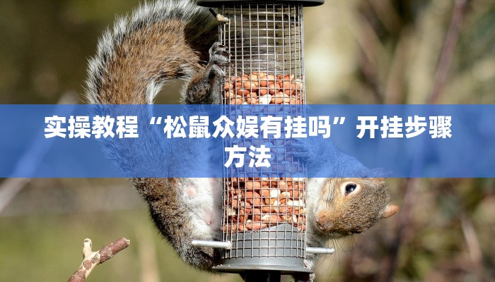 实操教程“松鼠众娱有挂吗”开挂步骤方法