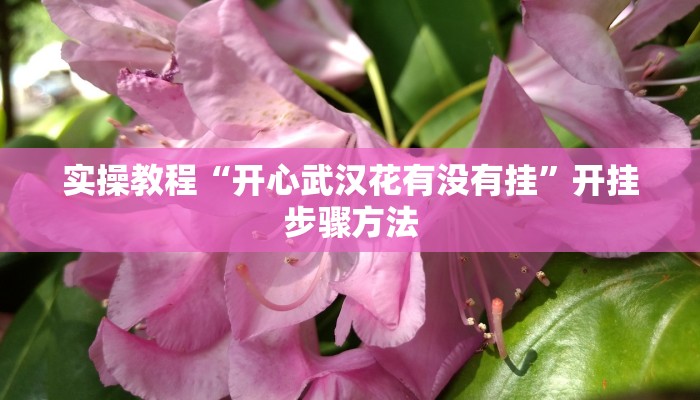 教程辅助“乐平讨赏辅助软件”(透视)其实确实有挂