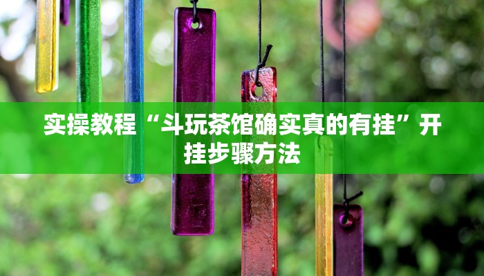 辅助神器“中至吉安王炸怎么开挂”其实确实有挂