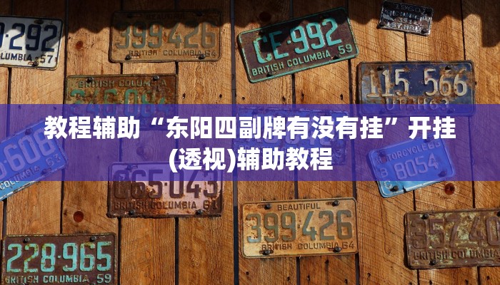 开挂辅助工具“皇豪互娱透视开挂神器”通用版下载教程