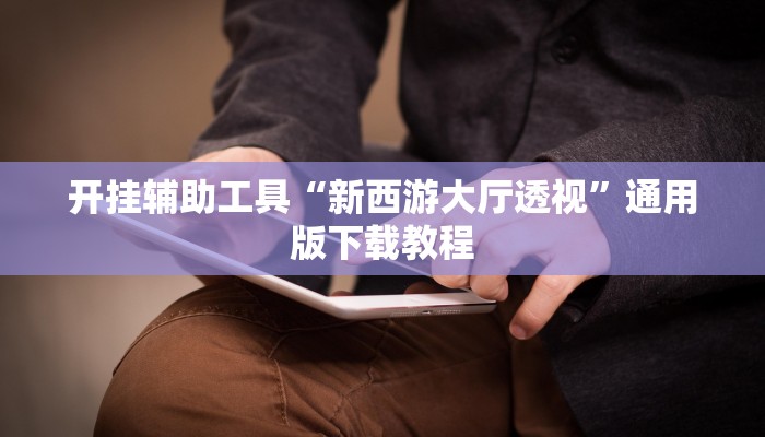 开挂辅助工具“新西游大厅透视”通用版下载教程