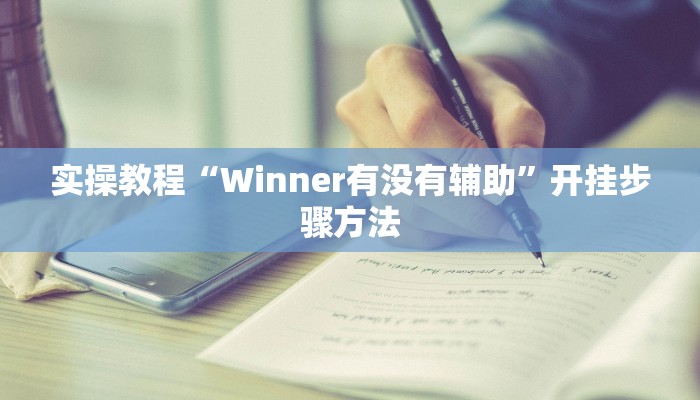 实操教程“Winner有没有辅助”开挂步骤方法