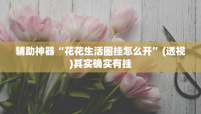 辅助神器“花花生活圈挂怎么开”(透视)其实确实有挂