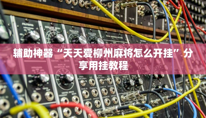 辅助神器“微乐小程序麻将万能开挂器”(透视)其实确实有挂