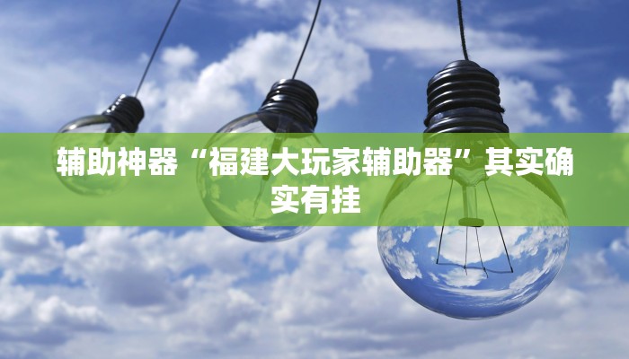 辅助神器“福建大玩家辅助器”其实确实有挂